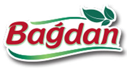 logo bagdan