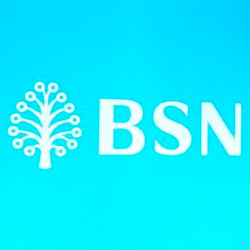 bsn logo