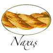naxis logo