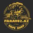 Logo Paravoz