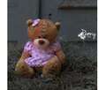 Bear Teddy oyuncaq ayı