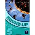 Round-Up 5. English Grammar Book
