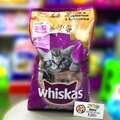 Whiskas для котят