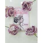 Paulo Coelho - Casus
