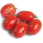 Karmen F1 (Carmen) Pomidot toxumu