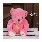 Bear Teddy pink yumşaq oyuncaq
