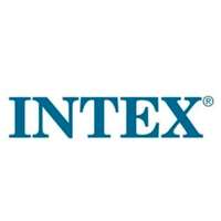 intex logo