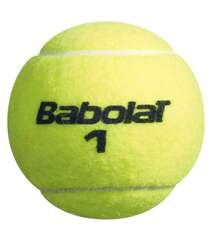 Tennis topu - CHAMPIONSHIP  X4 Babolat