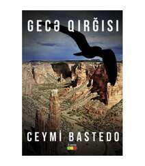 Ceymi Bastedo - Gecə qırğısı