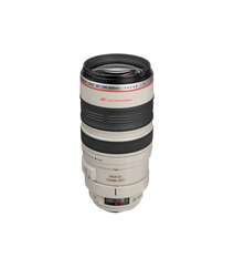 Canon EF 100-400mm f/4.5-5.6L IS USM Lens