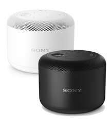 Sony BSP10 Wireless Speaker