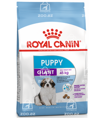 Royal Canin Giant Puppy сухой корм для щенков крупных пород с 2 до 8 месяцев (целый мешок 3,5 кг)