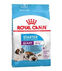 Royal Canin Giant Starter сухой корм для щенков гигантских пород до 2 месяцев, беременных и кормящих сук (целый мешок 15 кг)