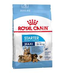 Royal Canin Maxi Starter сухой корм для щенков крупных пород до 2-ух месяцев, беременных и кормящих сук (целый мешок 15 кг)