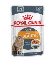 Royal Canin Intense Beauty влажный корм для поддержания красоты шерсти кошек в желе