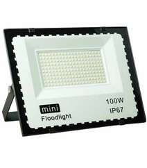 Mini Floodlight 100W IP67