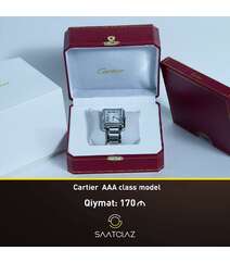 Cartier AAA class model