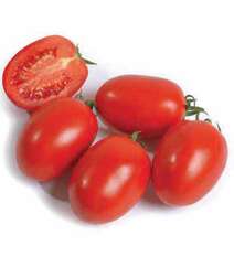 Karmen F1 (Carmen) Pomidot toxumu