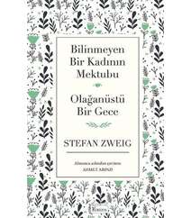 Stefan Sveyq - Olağanüstü bir gece (iş bankası)