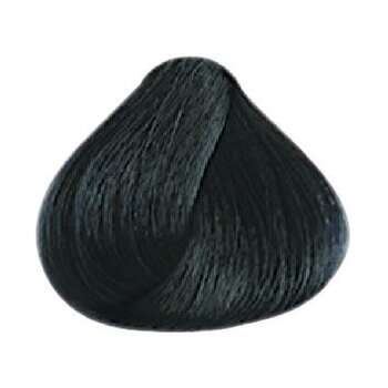 KayColor профессиональные краски для волос №2.10 сине-черный 100 мл