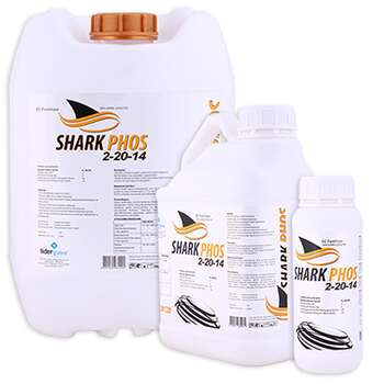 SHARK PHOS