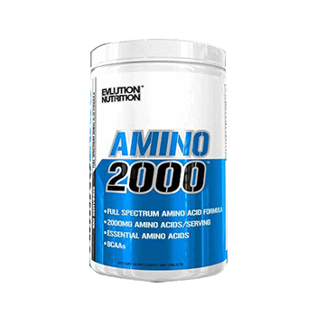 Evlution Nuntrition Amino 2000 (480 tabs)