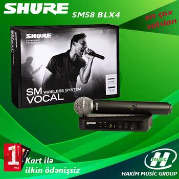 Shure BLX24/SM58