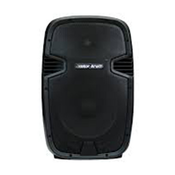 Active speakers Promusic LK1679-10G
