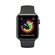 Apple Watch Series 3 GPS 42mm Space Gray Aluminum Case with Gray Sport Band (MR362)